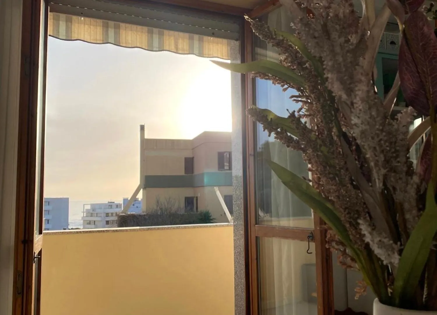La Tana Alguer Apartamento